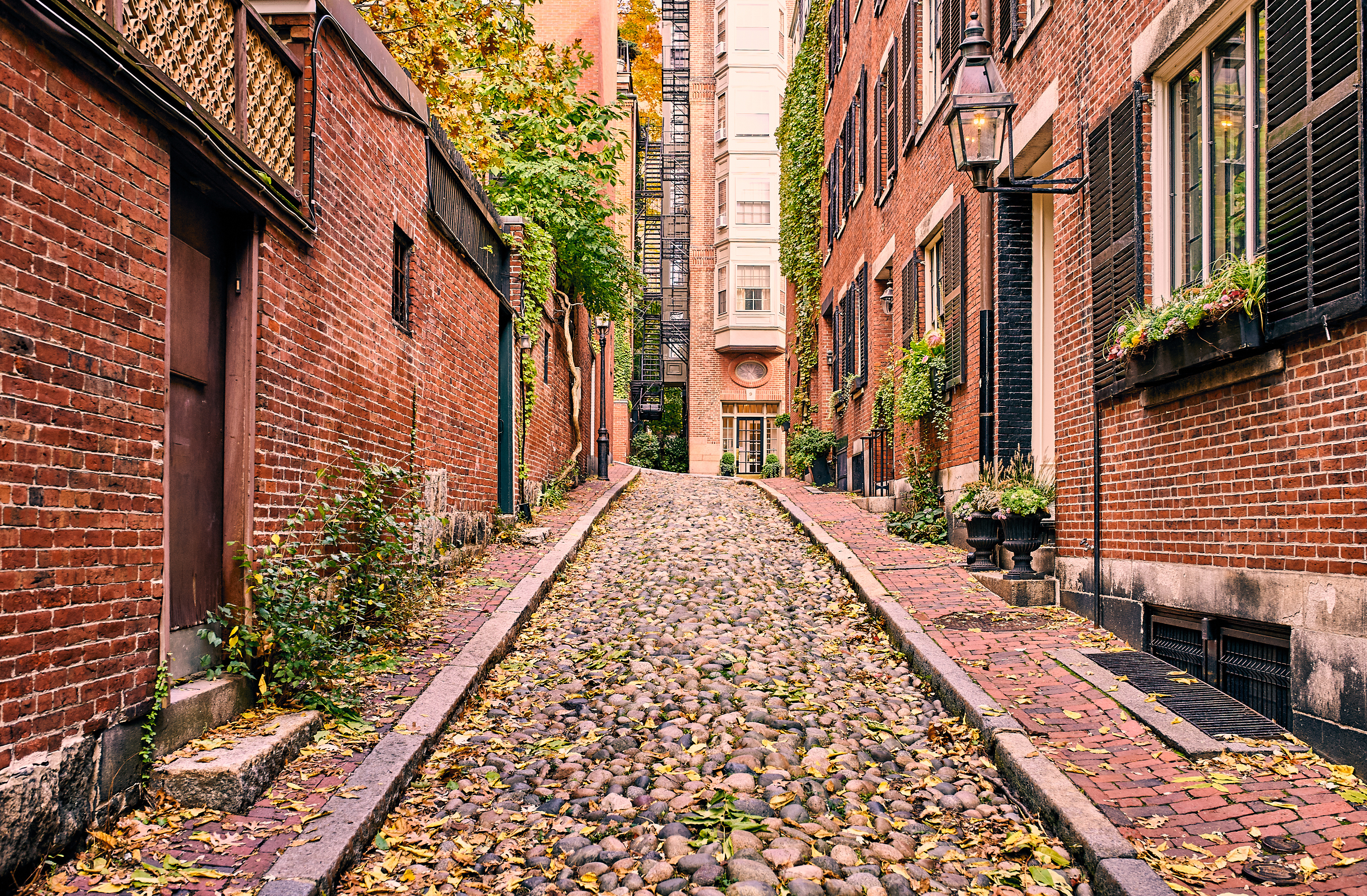 Fall in Boston | Acorn Street | The Langham, Boston